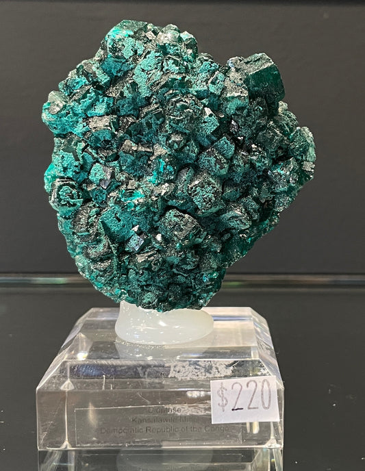 DIOPTASE, Democratic Republic of Congo ID019