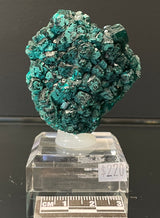 DIOPTASE, Democratic Republic of Congo ID019