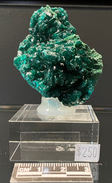 DIOPTASE, Democratic Republic of Congo ID020