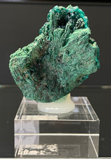 DIOPTASE, Democratic Republic of Congo ID020