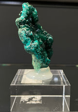 DIOPTASE, Democratic Republic of Congo ID020