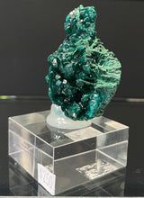DIOPTASE, Democratic Republic of Congo ID020