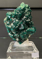 DIOPTASE, Democratic Republic of Congo ID021