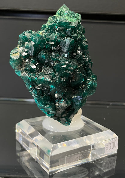 DIOPTASE, Democratic Republic of Congo ID021
