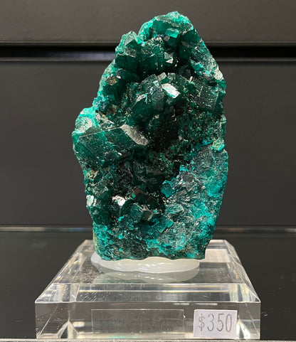 DIOPTASE, Democratic Republic of Congo ID022