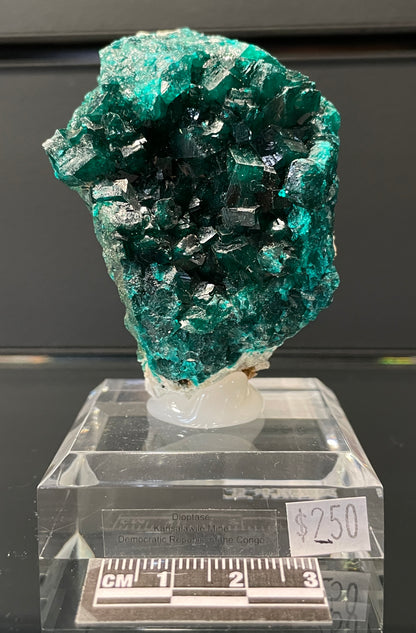 DIOPTASE, Democratic Republic of Congo ID023