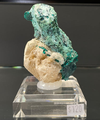 DIOPTASE, Democratic Republic of Congo ID024