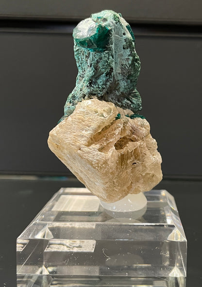 DIOPTASE, Democratic Republic of Congo ID024