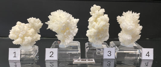 CAVE CALCITE, Mexico ICC019-022