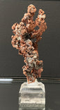 NATIVE COPPER, Australia INC042