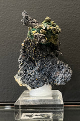 WULFENITE ON MALACHITE PSEUDOMORPH, Western Australia IWU015