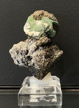 WULFENITE ON MALACHITE PSEUDOMORPH, Western Australia IWU016