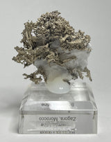 SILVER ON CALCITE, Morocco ISI028