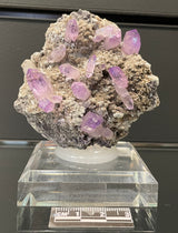 VERA CRUZ AMETHYST, Mexico IVA050