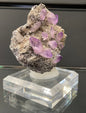 VERA CRUZ AMETHYST, Mexico IVA050