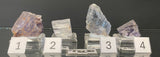 FLUORITE, Australia IFL005-8