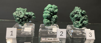 VELVET MALACHITE, Democratic Republic of the Congo IVM016-18