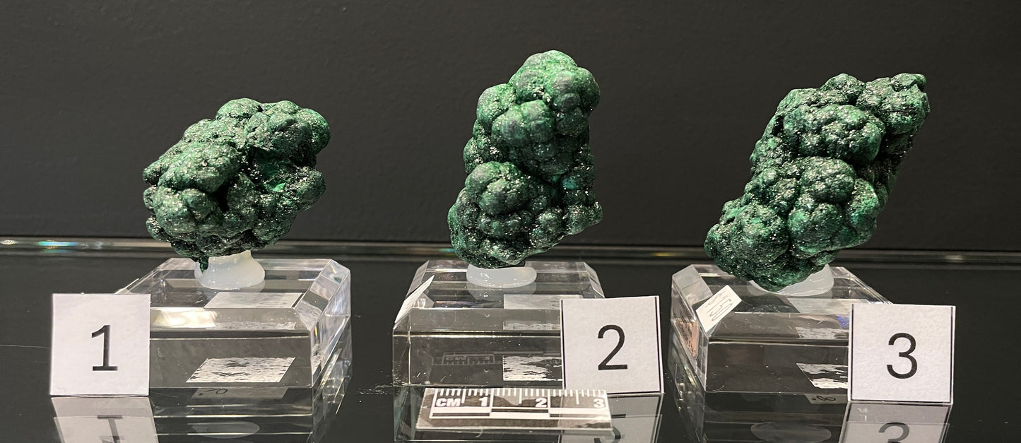 VELVET MALACHITE, Democratic Republic of the Congo IVM016-18