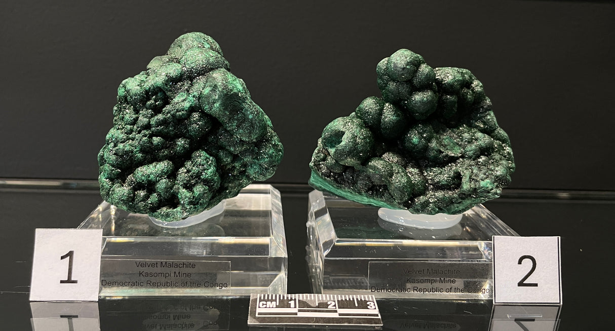 BOTRYOIDAL VELVET MALACHITE, Democratic Republic of the Congo IVM019-20