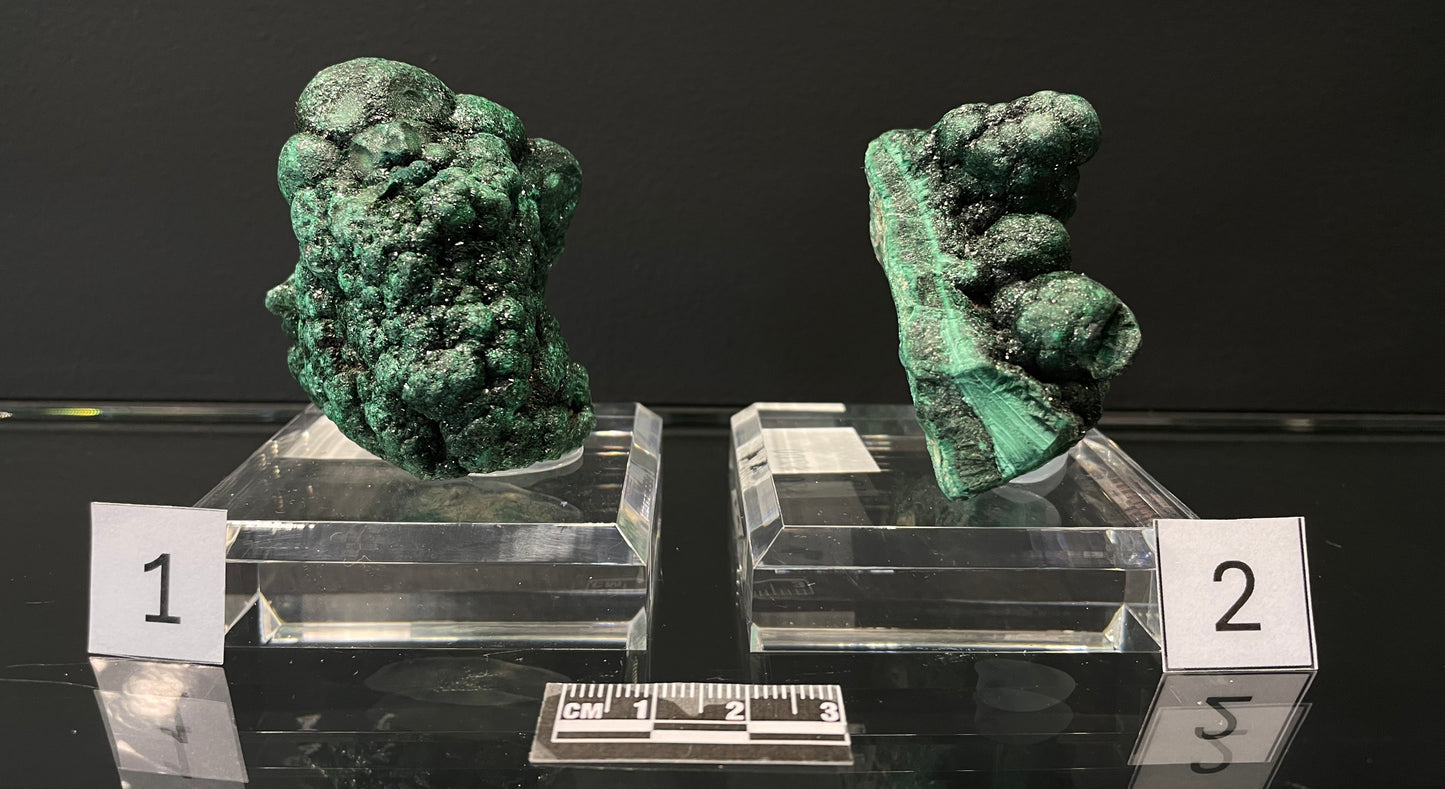 VELVET MALACHITE, Democratic Republic of the Congo IVM019-20