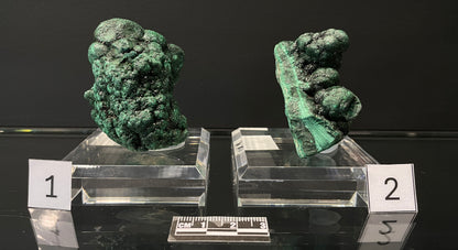 VELVET MALACHITE, Democratic Republic of the Congo IVM019-20