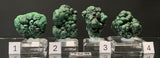 BOTRYOIDAL VELVET MALACHITE, Democratic Republic of the Congo IVM021-24