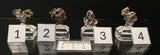 NATIVE SILVER, Australia INS001-4