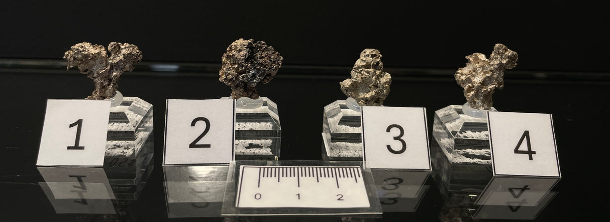 NATIVE SILVER, Australia INS001-4