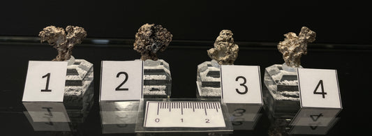 NATIVE SILVER, Australia INS001-4