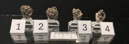 NATIVE SILVER, Australia INS005-8