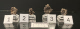 NATIVE SILVER, Australia INS009-12