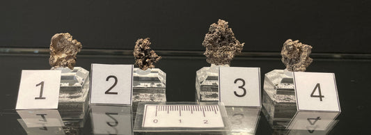 NATIVE SILVER, Australia INS009-12