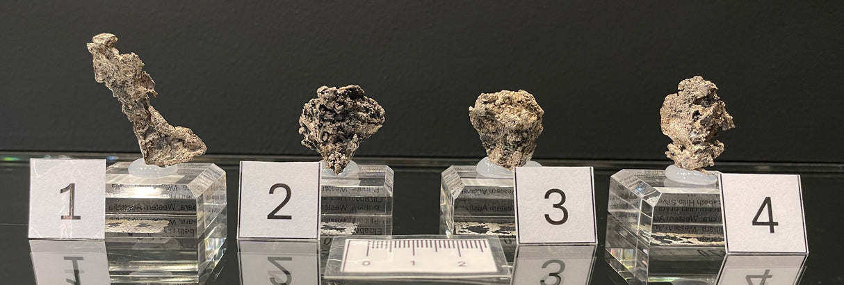NATIVE SILVER, Australia INS017-20