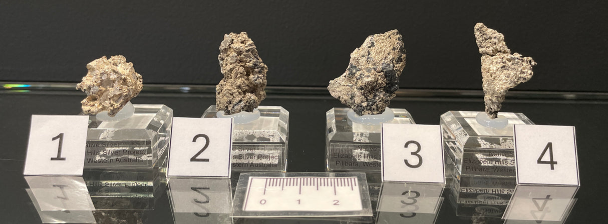 NATIVE SILVER, Australia INS021-24