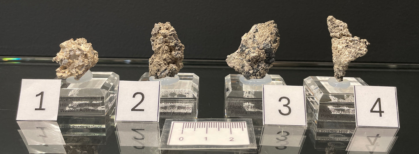 NATIVE SILVER, Australia INS021-24