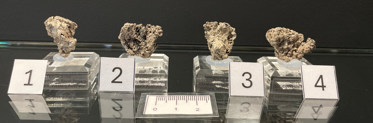 NATIVE SILVER, Australia INS025-28