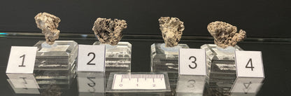 NATIVE SILVER, Australia INS025-28