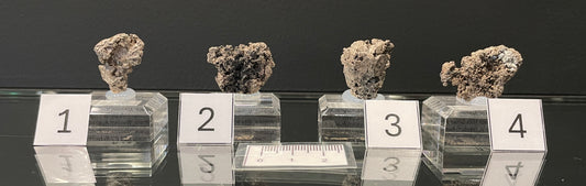 NATIVE SILVER, Australia INS025-28