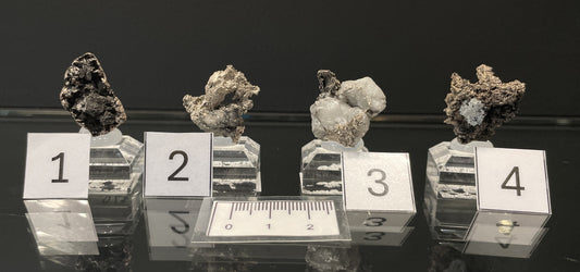 NATIVE SILVER, Australia INS029-32