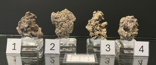 NATIVE SILVER, Australia INS034-37