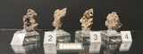NATIVE SILVER, Australia INS034-37