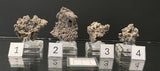 NATIVE SILVER, Australia INS038-41