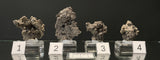 NATIVE SILVER, Australia INS038-41