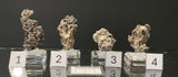 NATIVE SILVER, Australia INS042-45