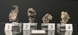 NATIVE SILVER, Australia INS042-45
