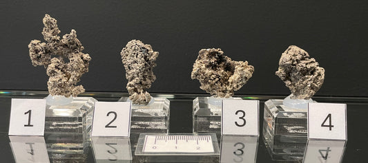 NATIVE SILVER, Australia INS046-49