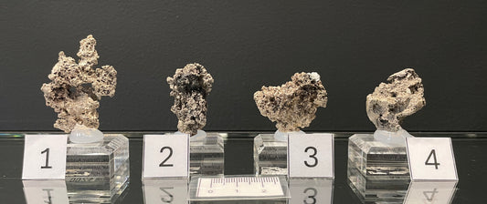 NATIVE SILVER, Australia INS046-49