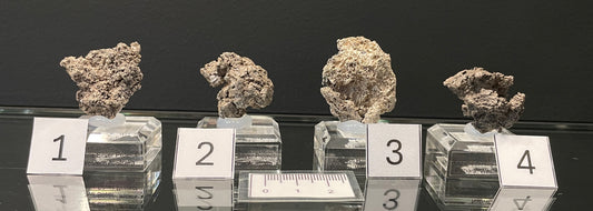 NATIVE SILVER, Australia INS058-61