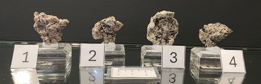 NATIVE SILVER, Australia INS058-61