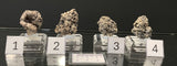 NATIVE SILVER, Australia INS062-65